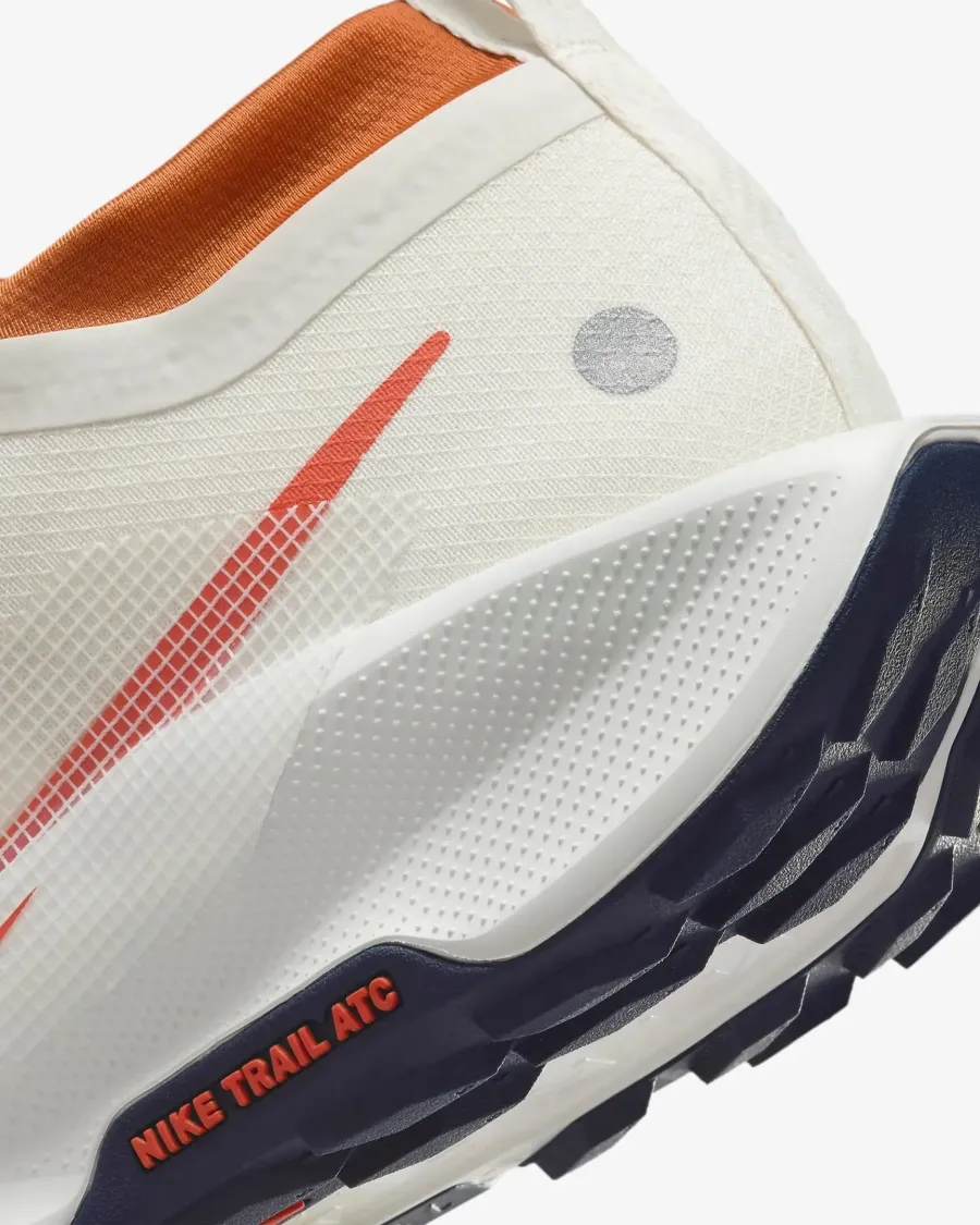 Кросівки Nike Pegasus Trail 5 Gore-Tex FQ0908-003