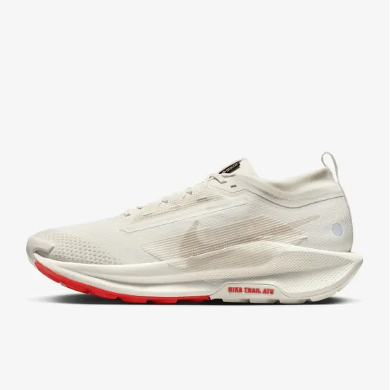 Кросівки Nike Pegasus Trail 5 Gore-Tex FQ0908-100
