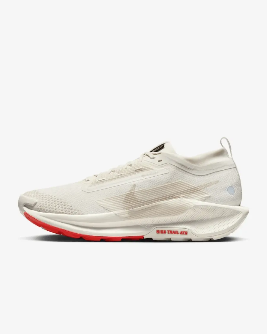 Кросівки Nike Pegasus Trail 5 Gore-Tex FQ0908-100