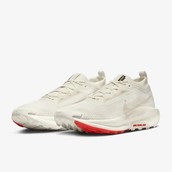 Кросівки Nike Pegasus Trail 5 Gore-Tex FQ0908-100