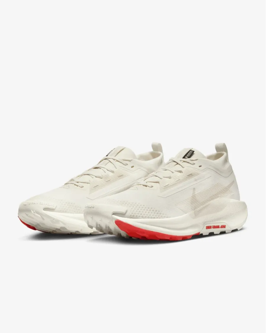 Кросівки Nike Pegasus Trail 5 Gore-Tex FQ0908-100