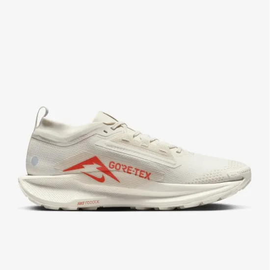 Кросівки Nike Pegasus Trail 5 Gore-Tex FQ0908-100