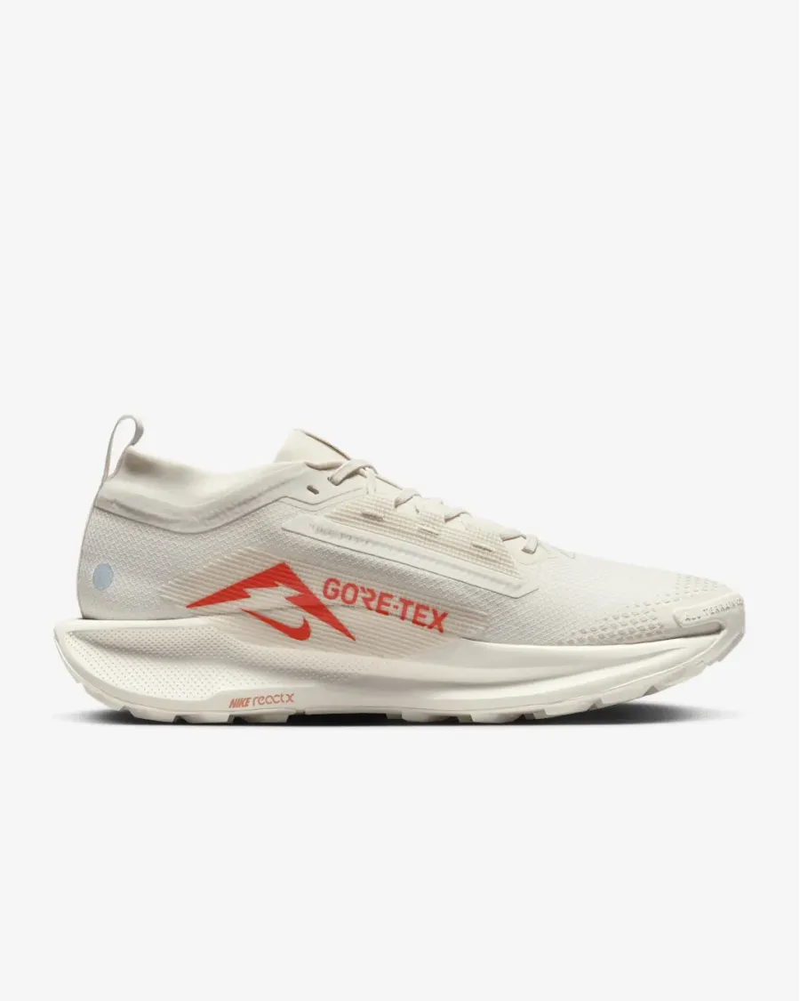 Кросівки Nike Pegasus Trail 5 Gore-Tex FQ0908-100
