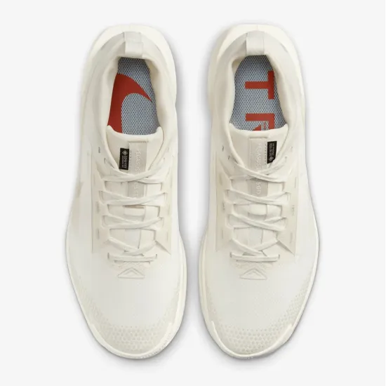 Кросівки Nike Pegasus Trail 5 Gore-Tex FQ0908-100
