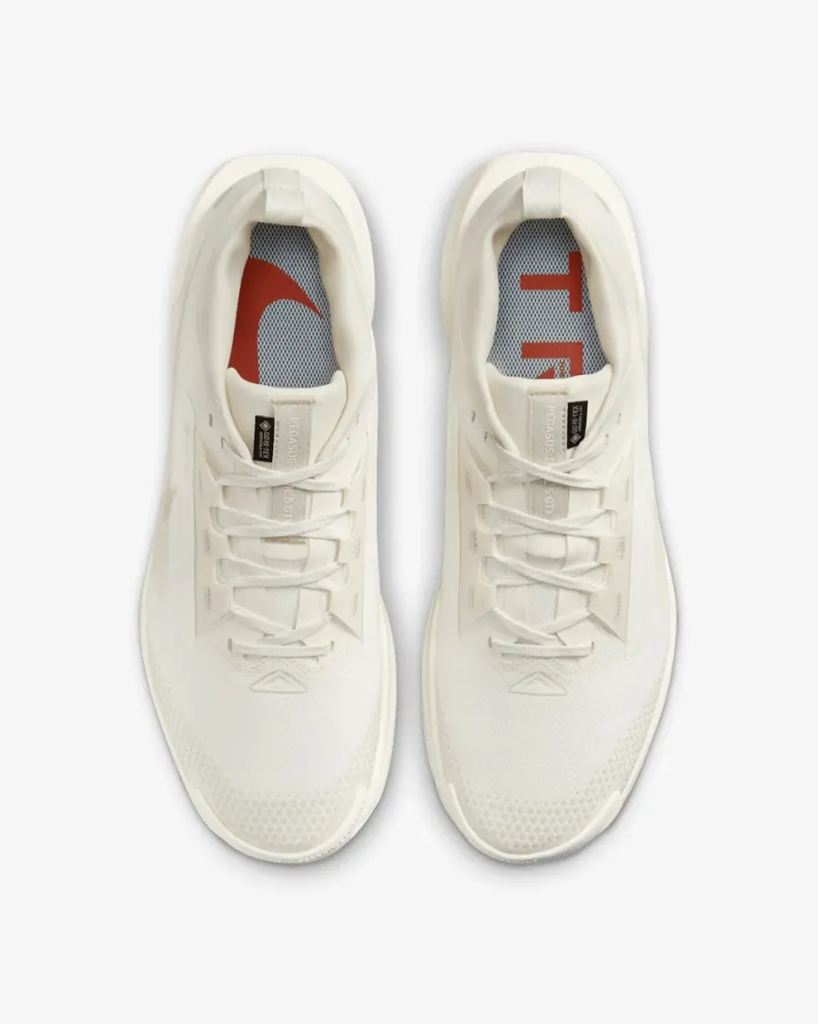 Кросівки Nike Pegasus Trail 5 Gore-Tex FQ0908-100