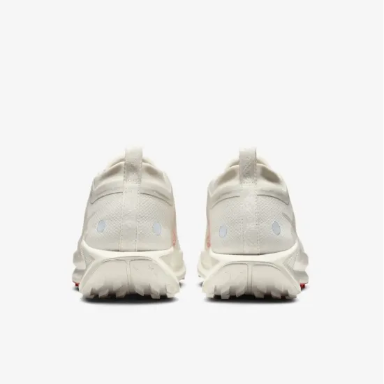 Кросівки Nike Pegasus Trail 5 Gore-Tex FQ0908-100