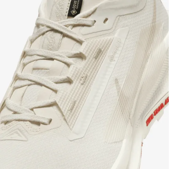 Кросівки Nike Pegasus Trail 5 Gore-Tex FQ0908-100