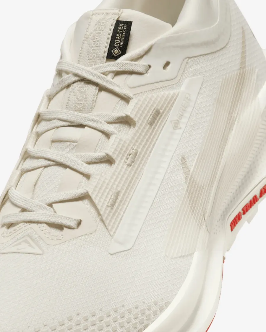 Кросівки Nike Pegasus Trail 5 Gore-Tex FQ0908-100