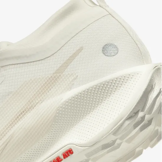Кросівки Nike Pegasus Trail 5 Gore-Tex FQ0908-100