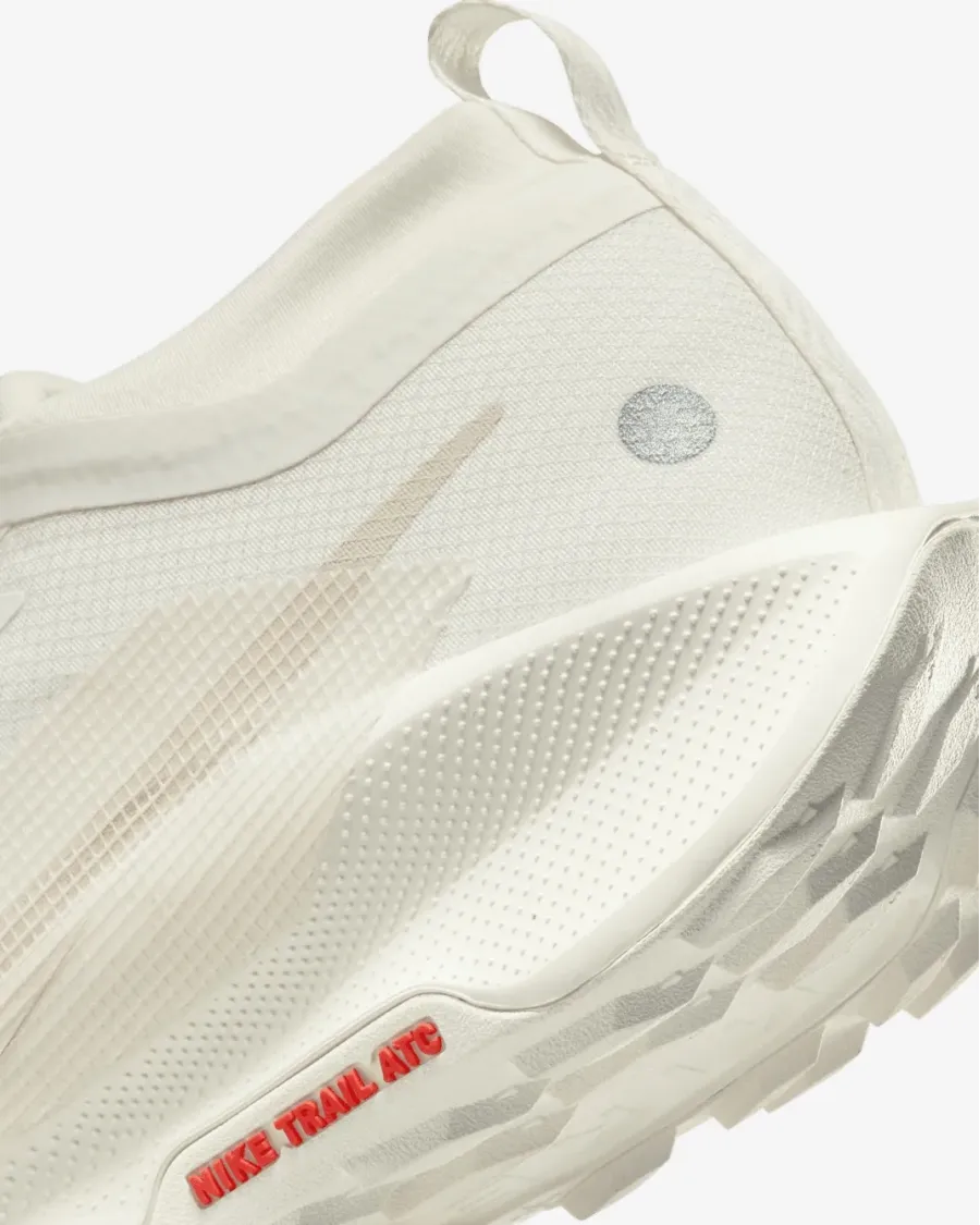 Кросівки Nike Pegasus Trail 5 Gore-Tex FQ0908-100