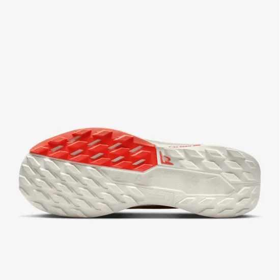 Кросівки Nike Pegasus Trail 5 Gore-Tex FQ0908-100