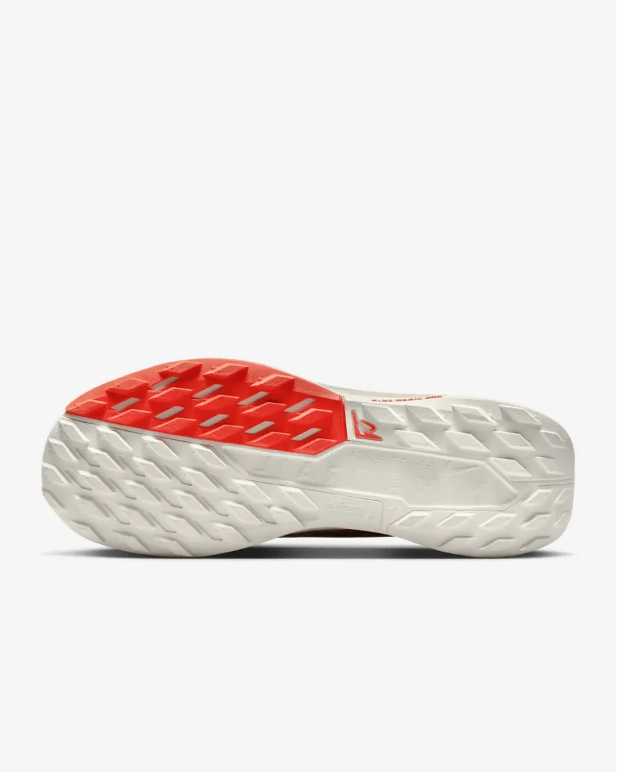 Кросівки Nike Pegasus Trail 5 Gore-Tex FQ0908-100