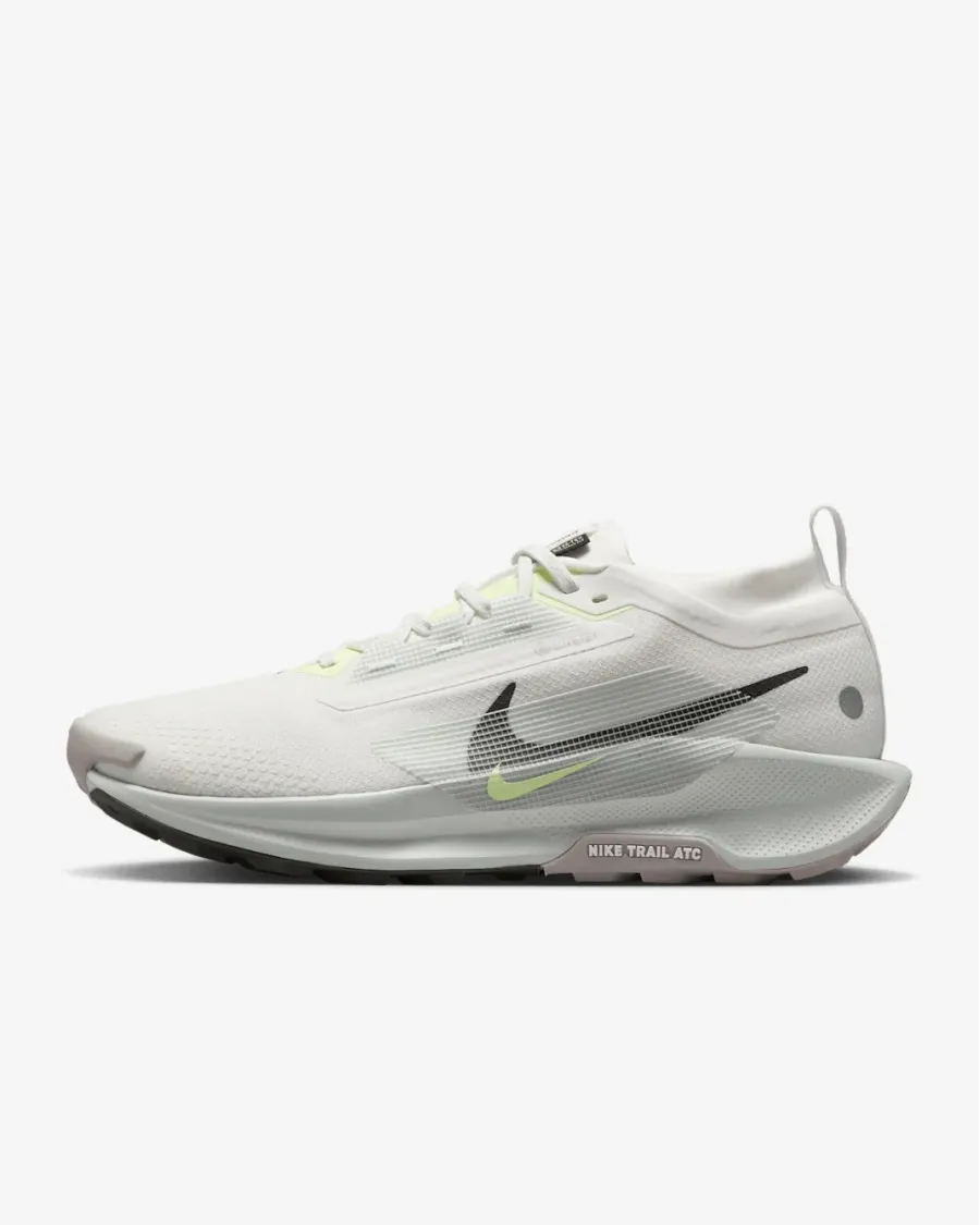Кросівки Nike Pegasus Trail 5 Gore-Tex FQ0908-102