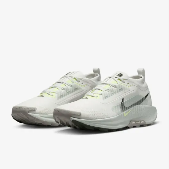 Кросівки Nike Pegasus Trail 5 Gore-Tex FQ0908-102
