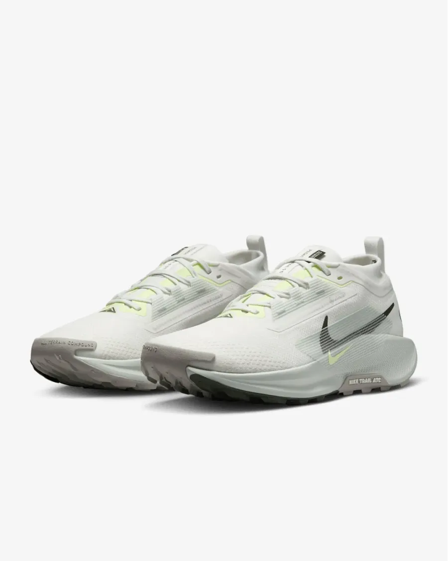 Кросівки Nike Pegasus Trail 5 Gore-Tex FQ0908-102