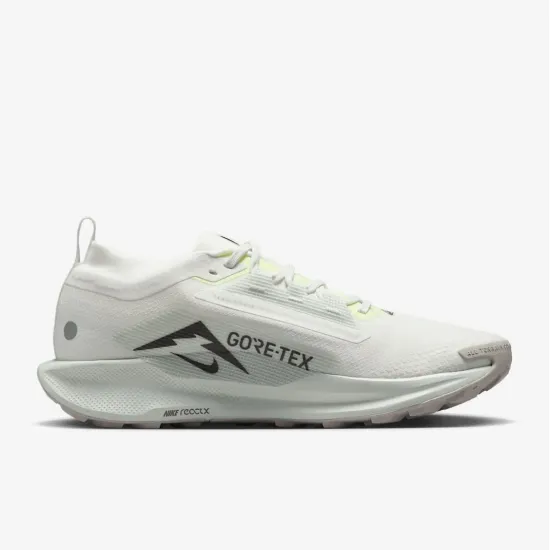 Кросівки Nike Pegasus Trail 5 Gore-Tex FQ0908-102
