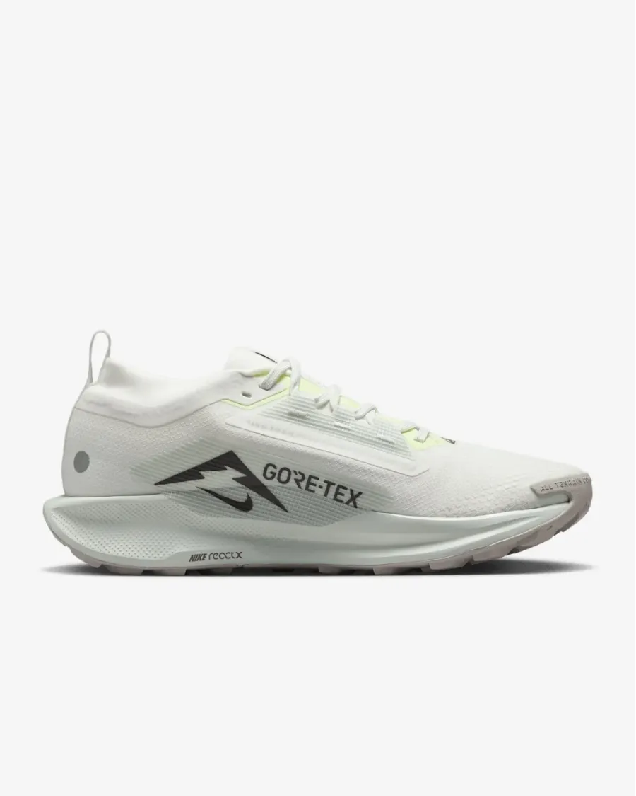Кросівки Nike Pegasus Trail 5 Gore-Tex FQ0908-102