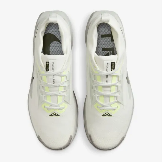Кросівки Nike Pegasus Trail 5 Gore-Tex FQ0908-102
