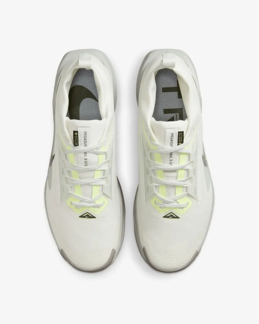 Кросівки Nike Pegasus Trail 5 Gore-Tex FQ0908-102