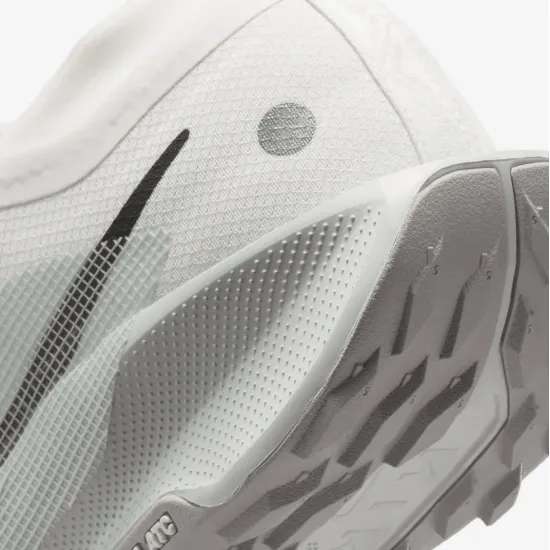 Кросівки Nike Pegasus Trail 5 Gore-Tex FQ0908-102