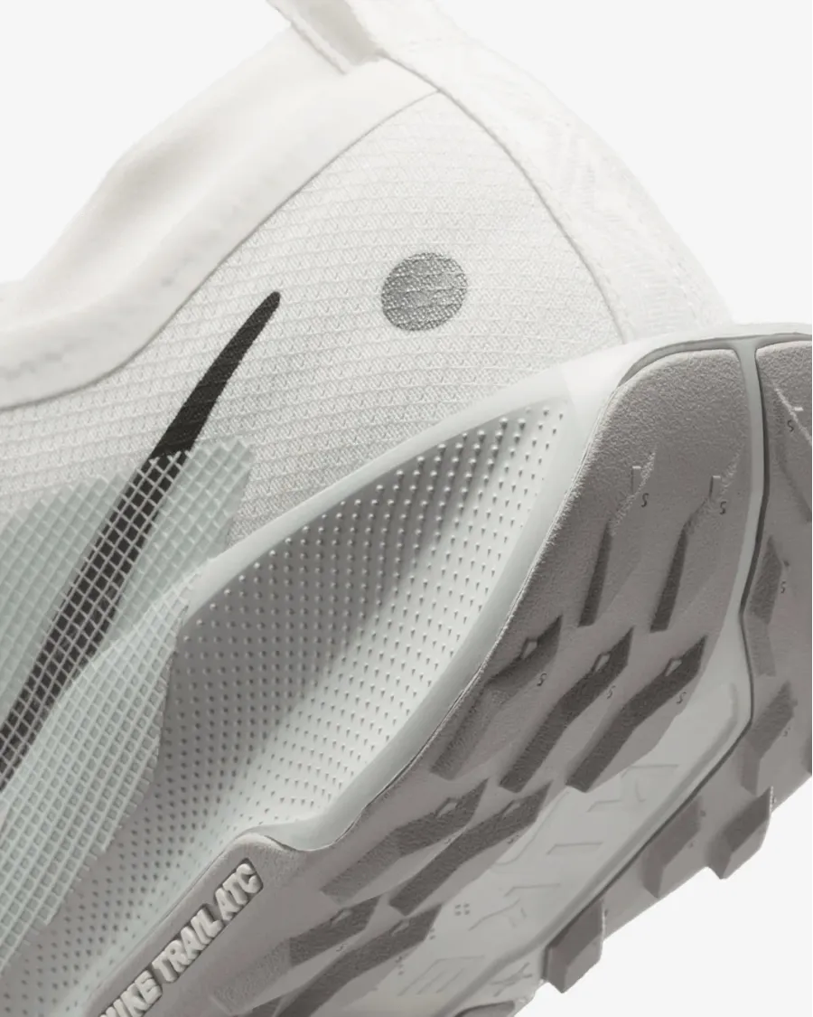 Кросівки Nike Pegasus Trail 5 Gore-Tex FQ0908-102