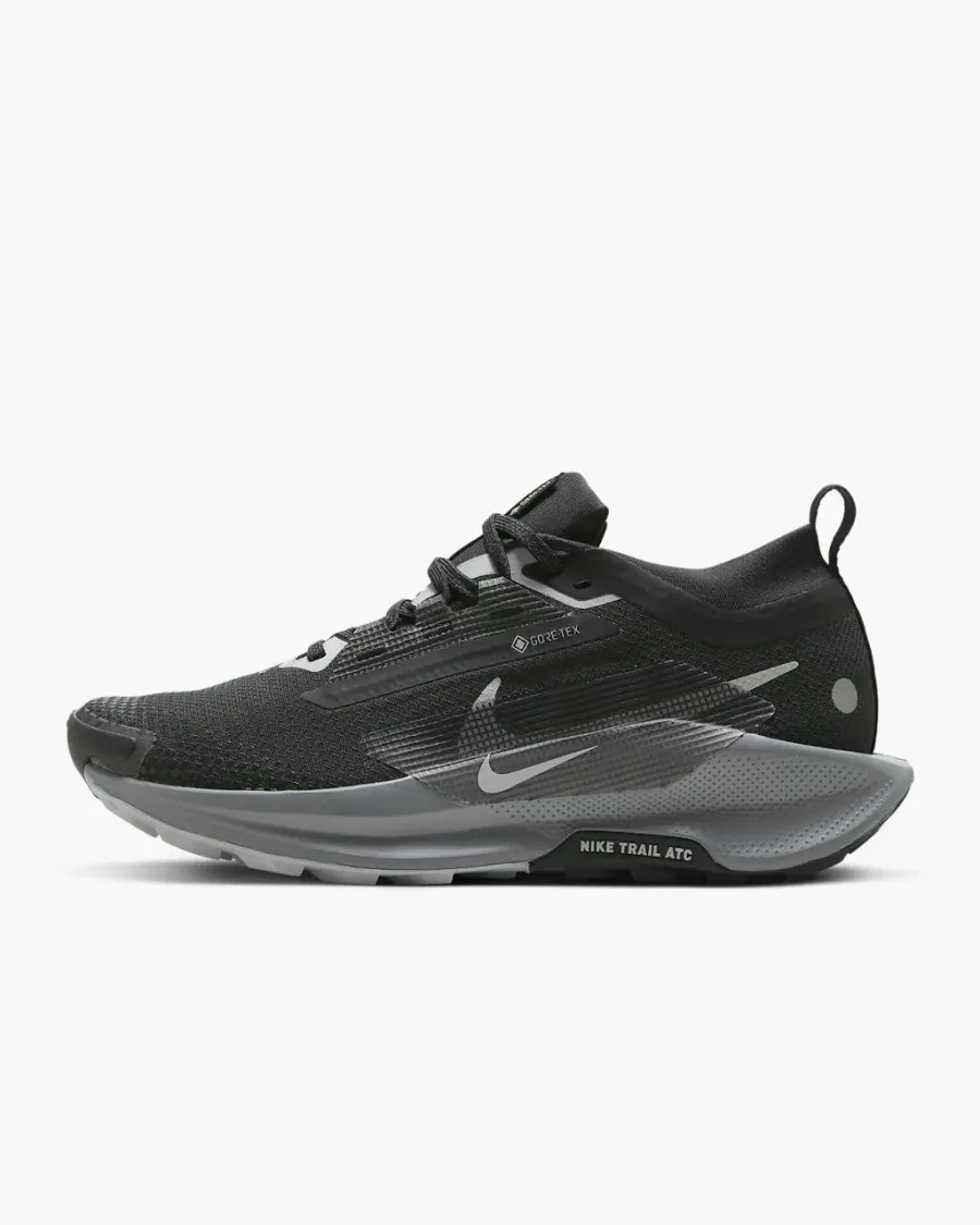 Кросівки Nike Pegasus Trail 5 Gore-Tex FQ0912-001