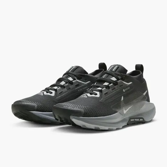 Кросівки Nike Pegasus Trail 5 Gore-Tex FQ0912-001