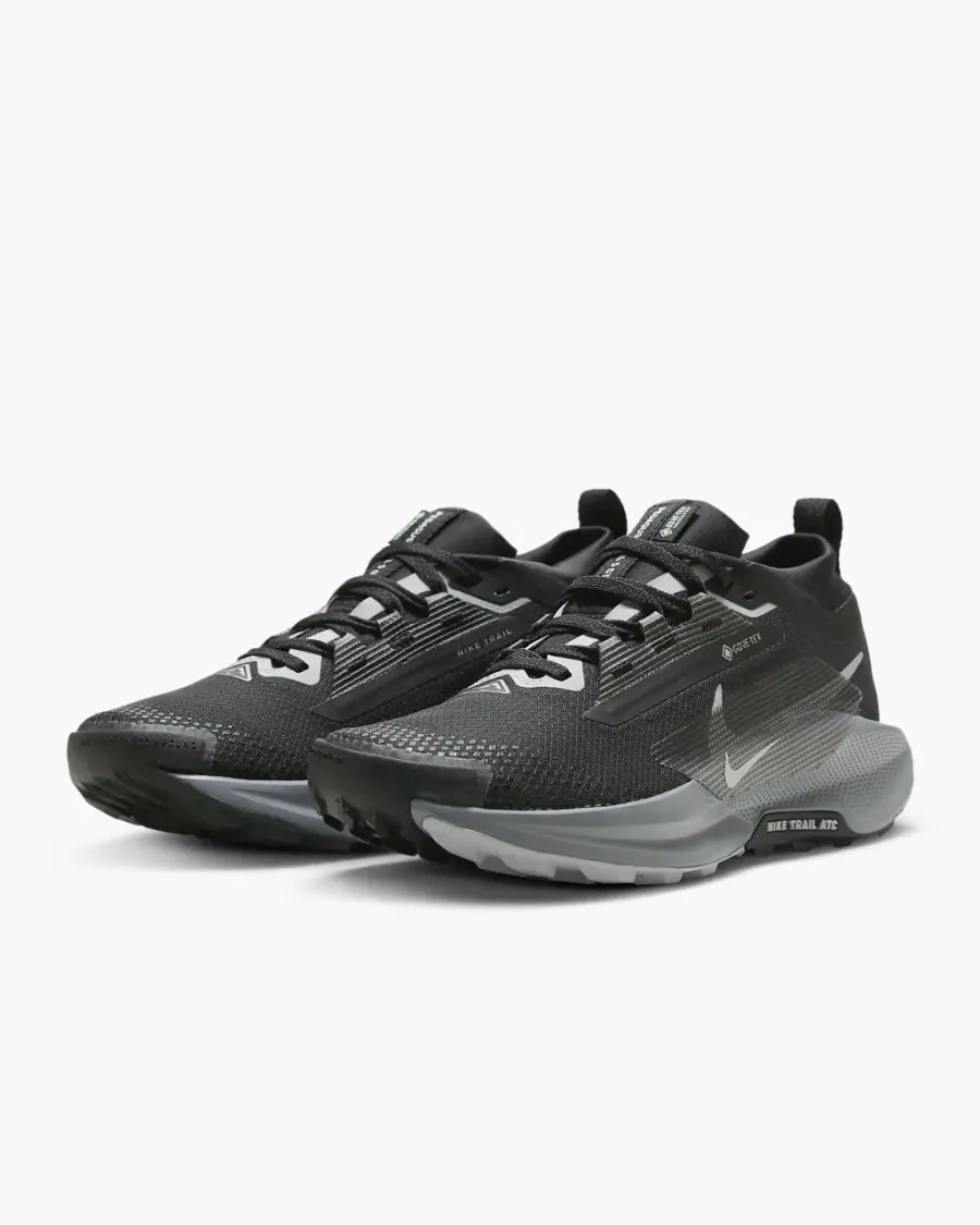 Кросівки Nike Pegasus Trail 5 Gore-Tex FQ0912-001