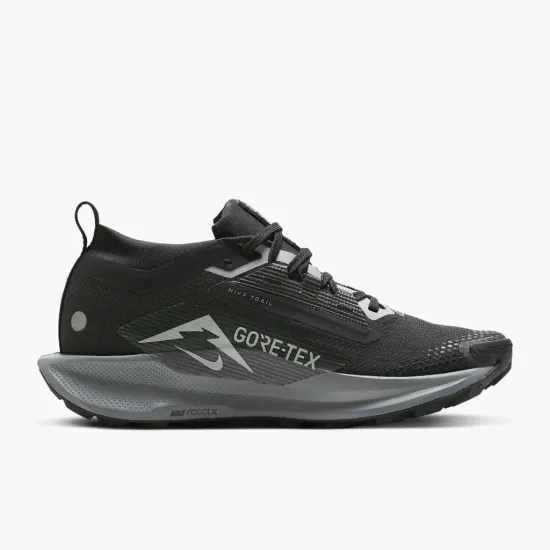 Кросівки Nike Pegasus Trail 5 Gore-Tex FQ0912-001