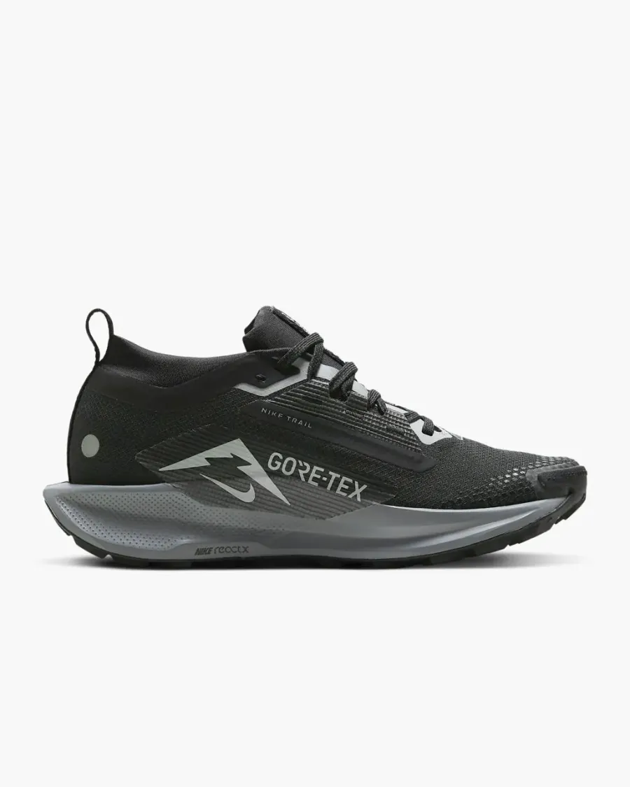 Кросівки Nike Pegasus Trail 5 Gore-Tex FQ0912-001