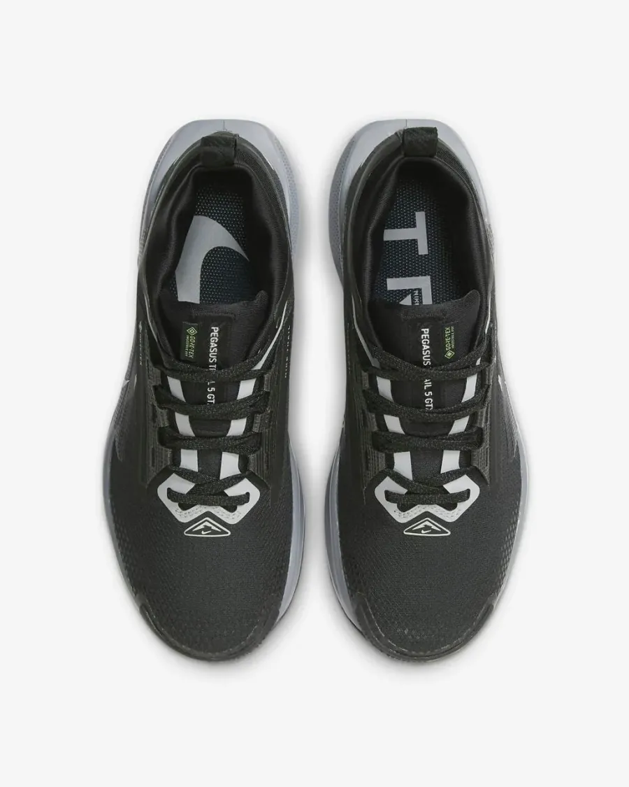 Кросівки Nike Pegasus Trail 5 Gore-Tex FQ0912-001