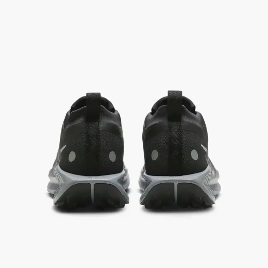 Кросівки Nike Pegasus Trail 5 Gore-Tex FQ0912-001