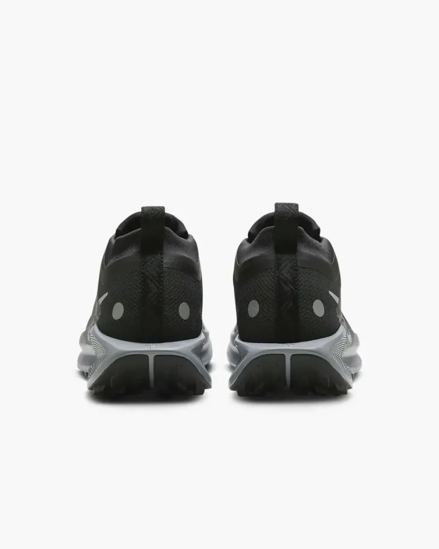 Кросівки Nike Pegasus Trail 5 Gore-Tex FQ0912-001