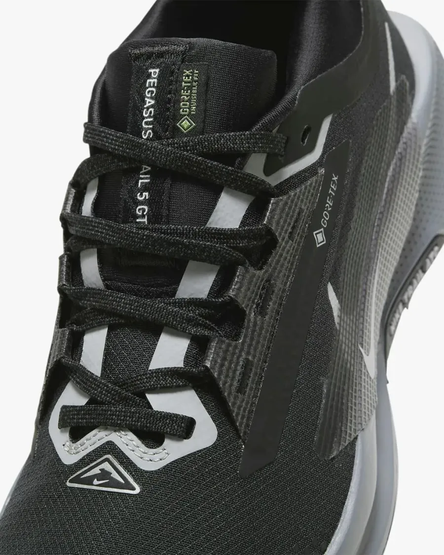 Кросівки Nike Pegasus Trail 5 Gore-Tex FQ0912-001