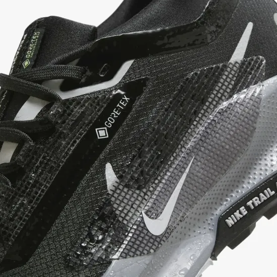 Кросівки Nike Pegasus Trail 5 Gore-Tex FQ0912-001