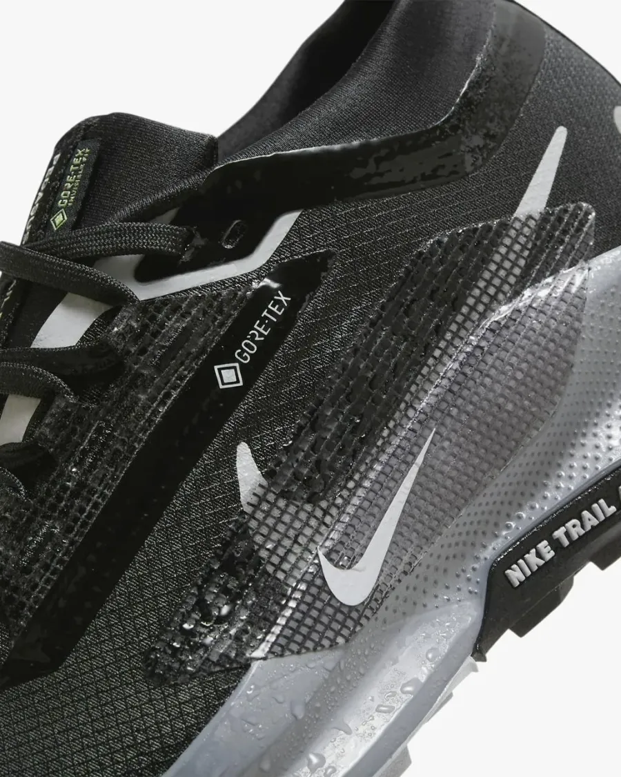 Кросівки Nike Pegasus Trail 5 Gore-Tex FQ0912-001