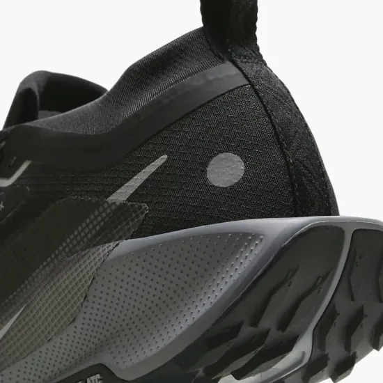 Кросівки Nike Pegasus Trail 5 Gore-Tex FQ0912-001