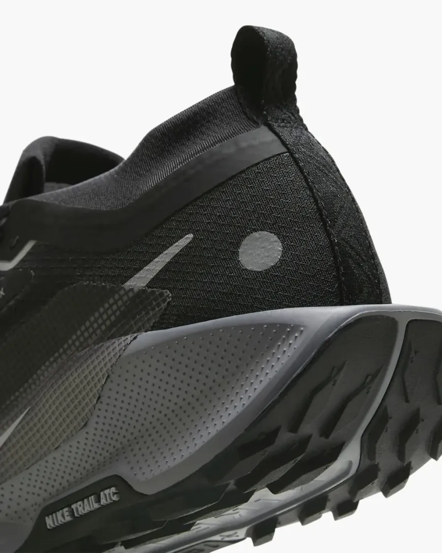 Кросівки Nike Pegasus Trail 5 Gore-Tex FQ0912-001
