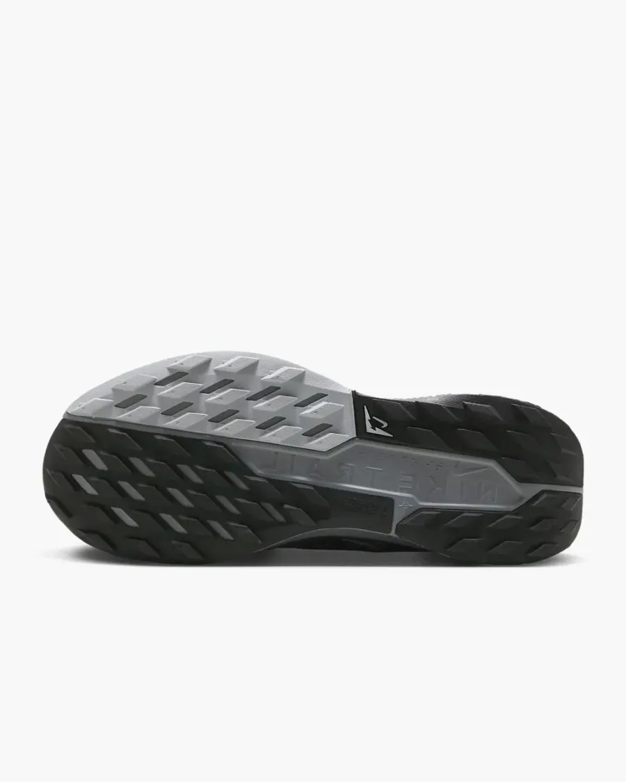Кросівки Nike Pegasus Trail 5 Gore-Tex FQ0912-001