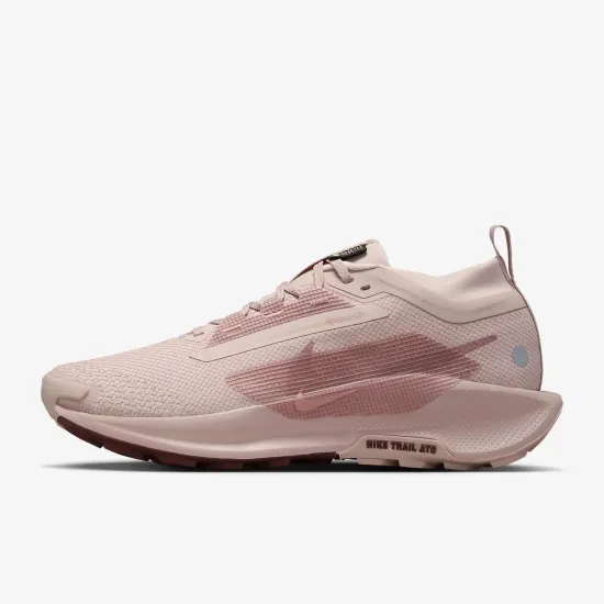 Кросівки Nike Pegasus Trail 5 Gore-Tex FQ0912-601