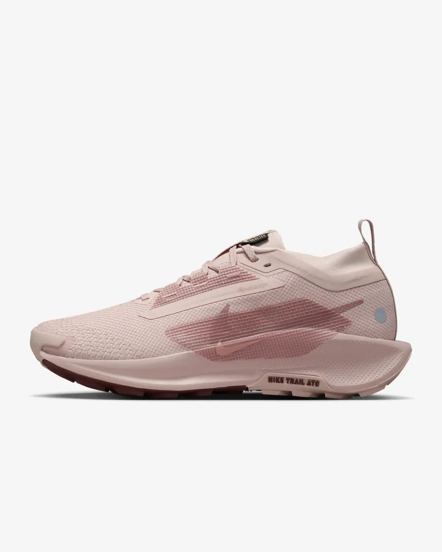 Кросівки Nike Pegasus Trail 5 Gore-Tex FQ0912-601