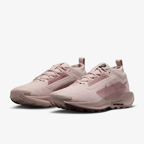 Кросівки Nike Pegasus Trail 5 Gore-Tex FQ0912-601