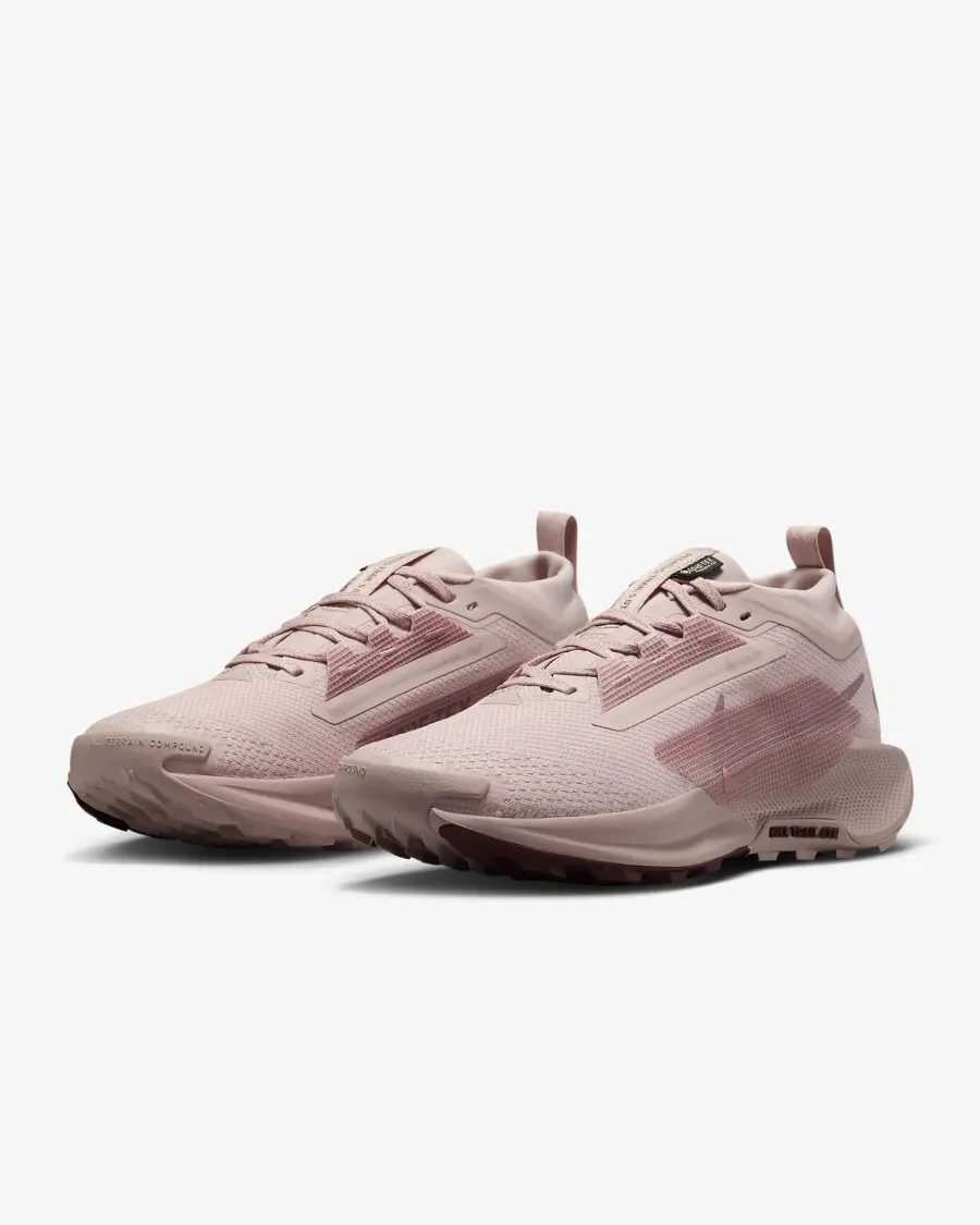 Кросівки Nike Pegasus Trail 5 Gore-Tex FQ0912-601