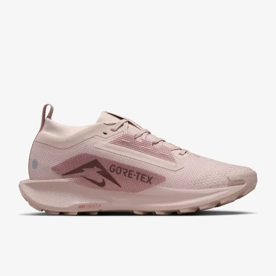 Кросівки Nike Pegasus Trail 5 Gore-Tex FQ0912-601