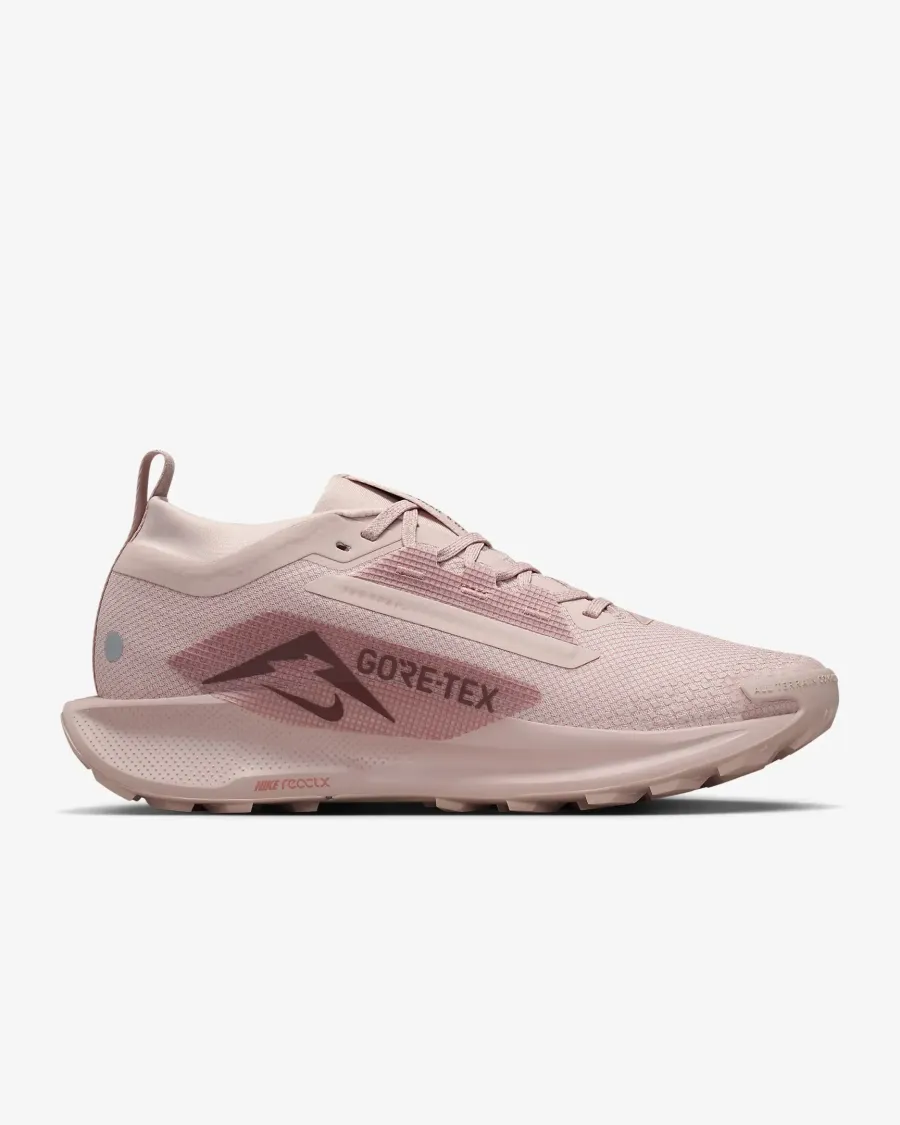 Кросівки Nike Pegasus Trail 5 Gore-Tex FQ0912-601