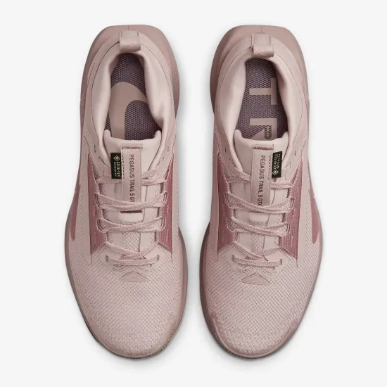 Кросівки Nike Pegasus Trail 5 Gore-Tex FQ0912-601
