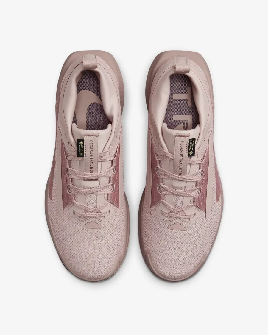 Кросівки Nike Pegasus Trail 5 Gore-Tex FQ0912-601