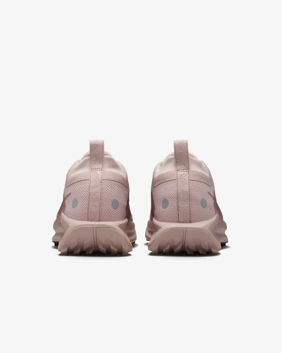 Кросівки Nike Pegasus Trail 5 Gore-Tex FQ0912-601