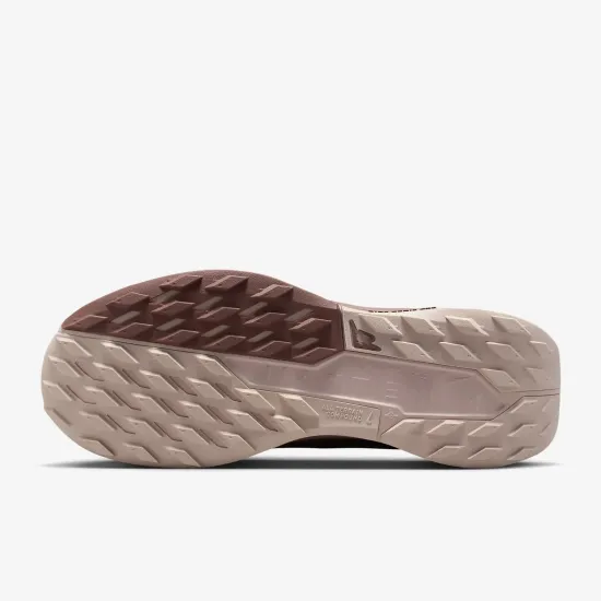 Кросівки Nike Pegasus Trail 5 Gore-Tex FQ0912-601