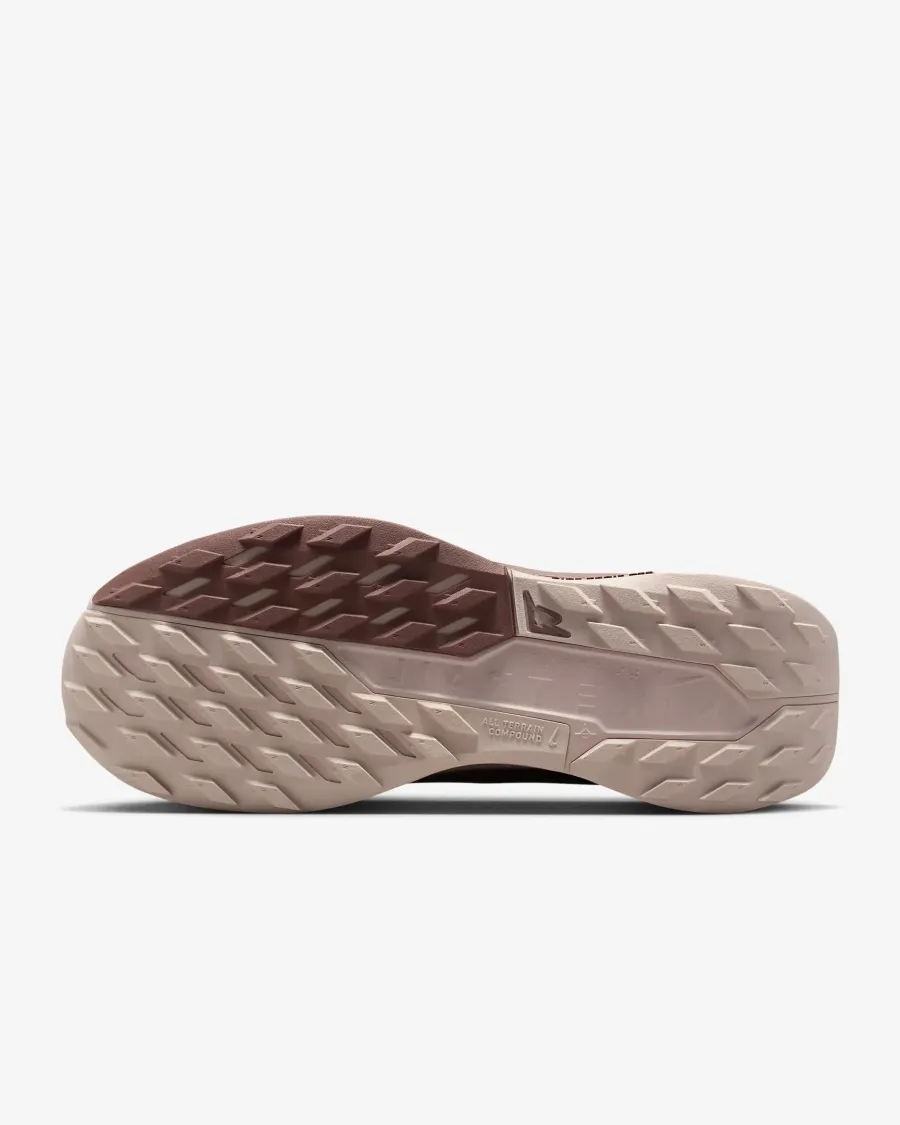 Кросівки Nike Pegasus Trail 5 Gore-Tex FQ0912-601